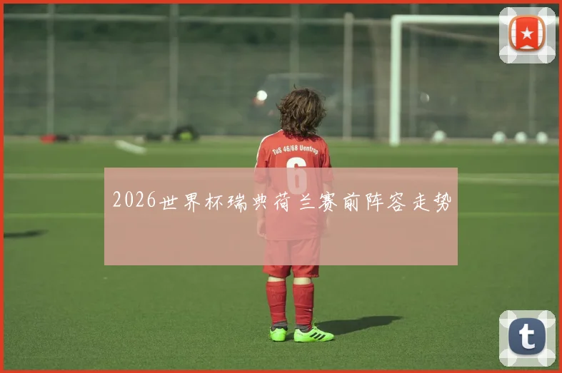 2026世界杯瑞典荷兰赛前阵容走势