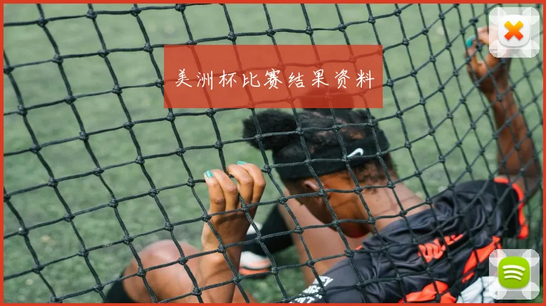美洲杯比赛结果资料