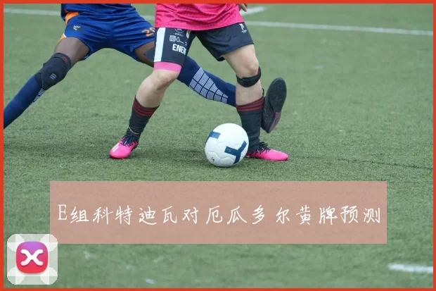 E组科特迪瓦对厄瓜多尔黄牌预测