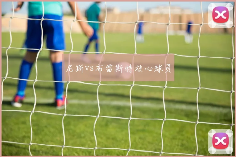 尼斯vs布雷斯特核心球员