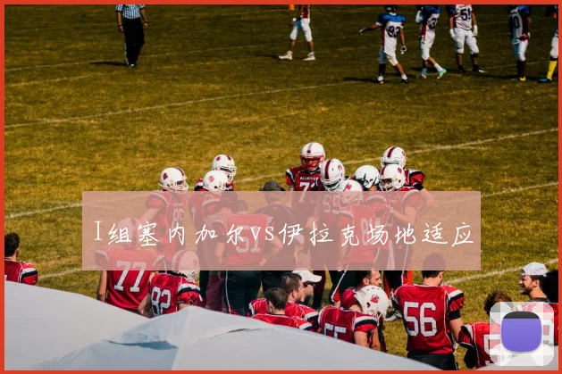 I组塞内加尔vs伊拉克场地适应