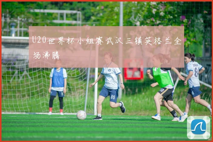 U20世界杯小组赛武汉三镇英格兰全场沸腾