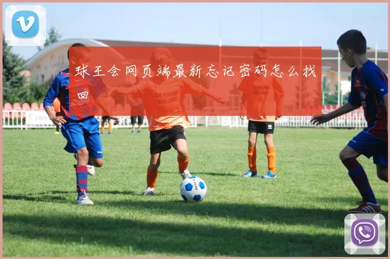 球王会网页端最新忘记密码怎么找回