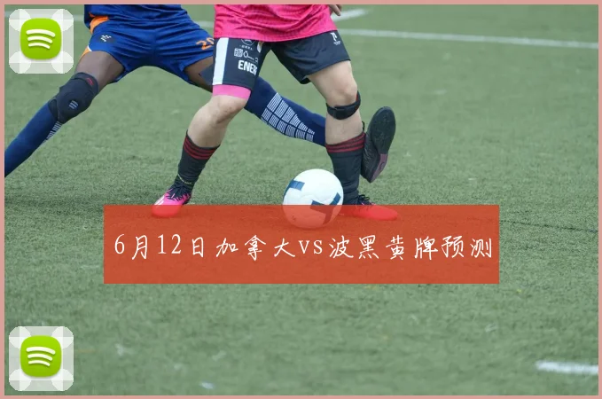 6月12日加拿大vs波黑黄牌预测
